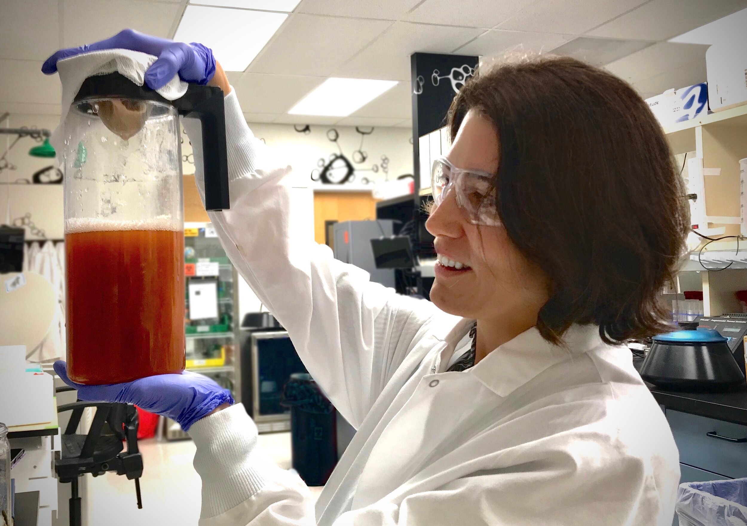 Amanda Stiles in the lab, with seaweed protein.