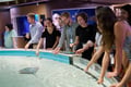  Activate Fellows petting a stingray at the New England Aquarium 