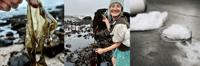 Supercarb Seaweed (1)