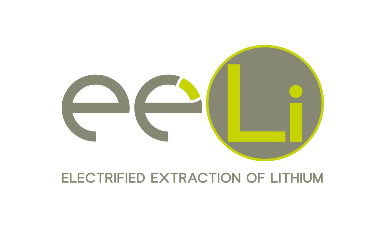 EELI Technology