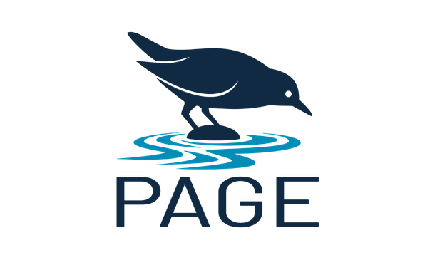 PAGE